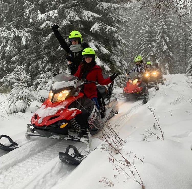 Passing through the winter forest