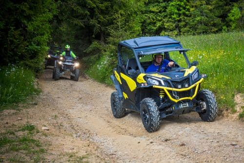 buggy, quad